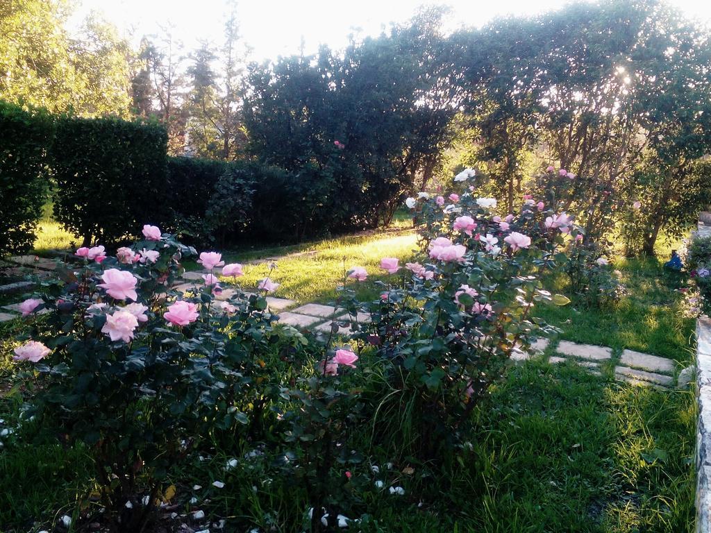 Villa Rose Garden Agios Ioannis  Exterior photo